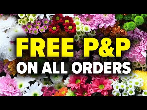You Garden.com