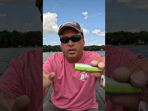 Piscifun.com