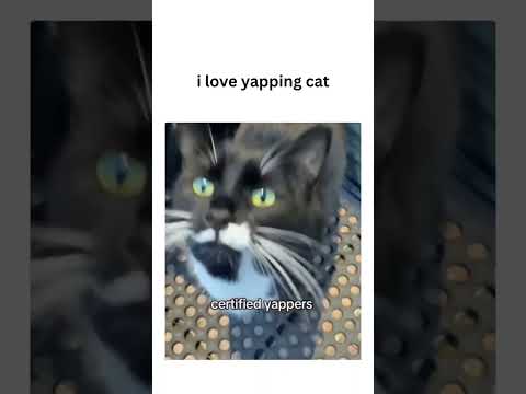 Vetsupply.com.au