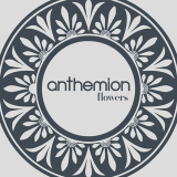 Anthemionm Flowers