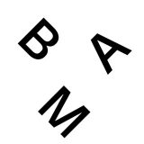 Bamboo Clothing