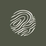 Holzkern
