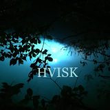 HVisk Handbags