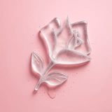 Lancome.it