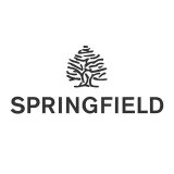 Myspringfield