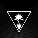 Turtle Beach