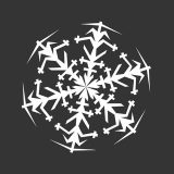 Winter Designer Ski