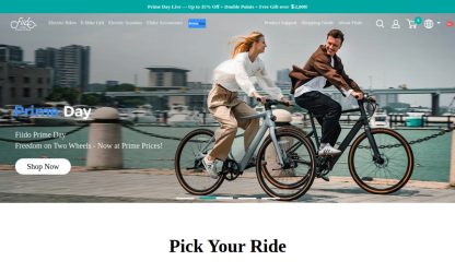 Fiido Electric Bikes