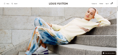 Louis Vuitton